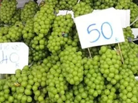 Giật mình giá nho 'quý tộc'