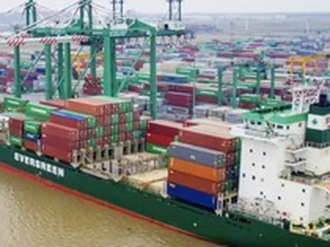 Viconship muốn vay 2.200 tỷ đồng từ các công ty con