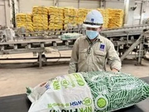 Một doanh nghiệp sắp trả cổ tức tiền mặt 14% trong tháng sau