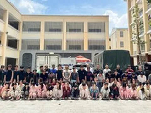 Bắt "Hoàng Nato"; bắt khẩn cấp "Đức Cộng"...