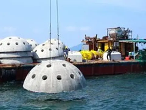 Hà Tĩnh dùng tiền Formosa bồi thường để làm 'nhà' cho tôm cá