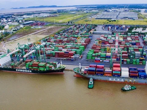 Dư nợ vượt 6.500 tỷ đồng, Viconship tiếp tục vay thêm hàng nghìn tỷ đồng